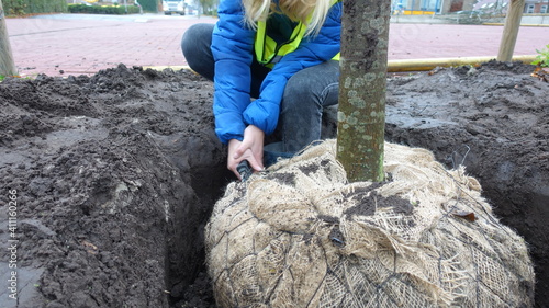 Canvas-taulu Planting a tree seen from the roots on behalf of climate adaptation