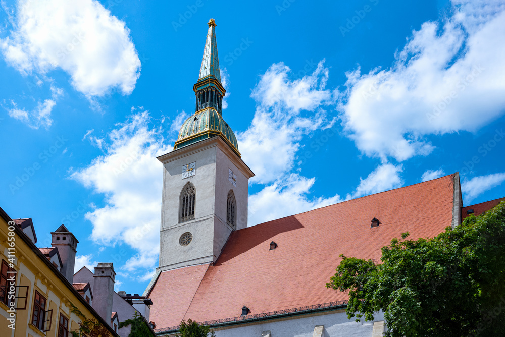 Fototapeta premium Bratislava and its elegant architecture