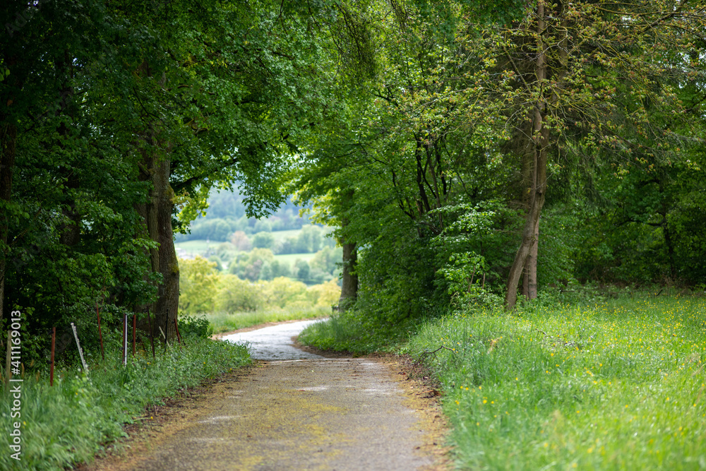 Fototapeta premium Feldweg im Odenwald