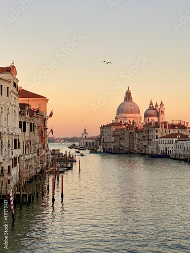 Venice, Italy - winter 2020: view on an empty Grand Canal and Basilica della Salute during sunset with seagull in the sky