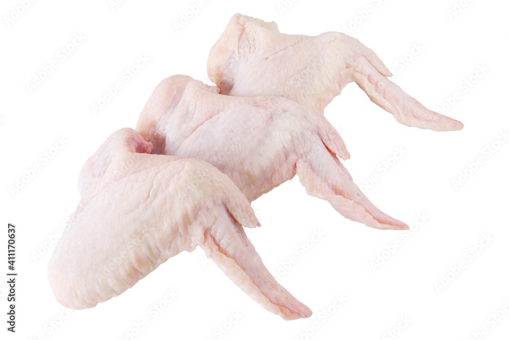 chicken wings isolated on white background. bird wings chicken wings isolated on white background. bird wings