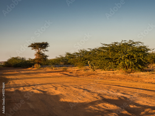 senegal  Africa