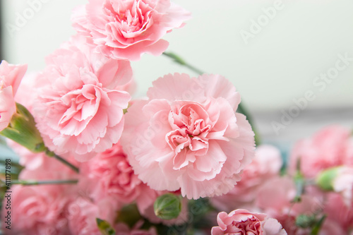 Small bouquet of pink carnations in on a white background  copy space