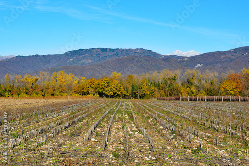 The autumn landscape in the fields near the village of Moimacco close to Cividale del Friuli, Udine Province, Friuli-Venezia Giulia, north east Italy. A field of dried corn stumps is in the foreground photo