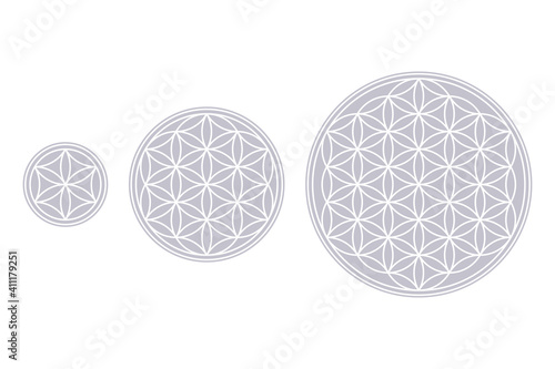 White Flower of Life, Core and Seed of Life over fields of gray. Geometric figures and spiritual symbols of the Sacred Geometry. Overlapping circles forming flower like patterns. Illustration. Vector. © Peter Hermes Furian