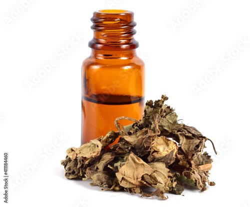 Εκτύπωση καμβά Patchouli Dried Herbal Leaves with Essential Oil on the Background