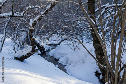 Stream in the winter forest. photo