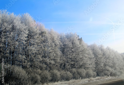 snow-covered trees along the road in winter in February on a sunny day