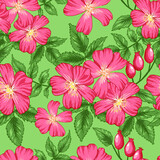 Seamless vector pattern with dog rose flowers. Pink flowers isolated on green background.