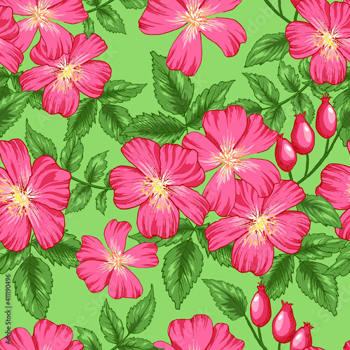 Seamless vector pattern with dog rose flowers. Pink flowers isolated on green background.