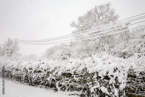 Snow covered trees, power cables and hedges in Buckinghamshire, England