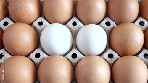 Close up double white eggs in the middle of brown eggs in the carton egg tray photo