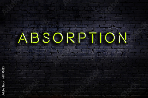 Neon sign. Word absorption against brick wall. Night view