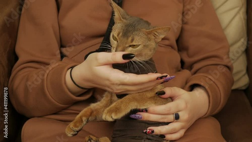 Girl Stroking A Cat In Her Arms