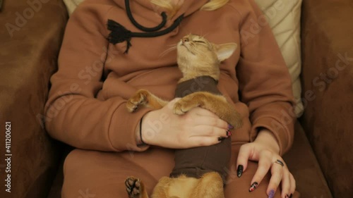 Girl Stroking A Cat In Her Arms