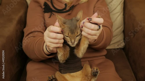 Girl Stroking A Cat In Her Arms