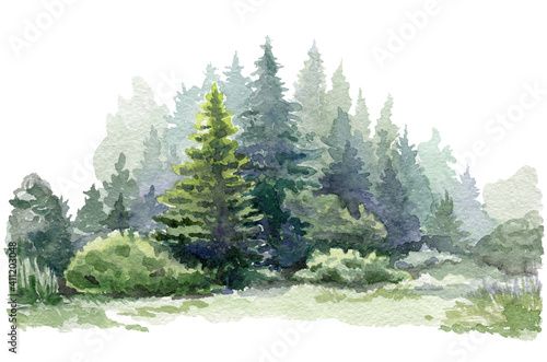 Fir tree forest watercolor image. Hand drawn relistic lush pine illustration. Green forest plant background. Christmas tree and bushes on white background. Evergreen natural spruce trees and bushes.
