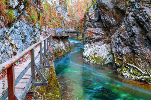Fototapeta Naklejka Na Ścianę i Meble -  Famous and beloved Vintgar Gorge canyon with wooden path in beautiful autumn colors near Bled Lake of Triglav National Park
