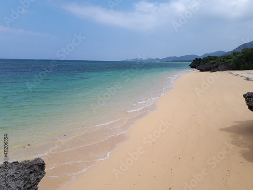 beach with trees