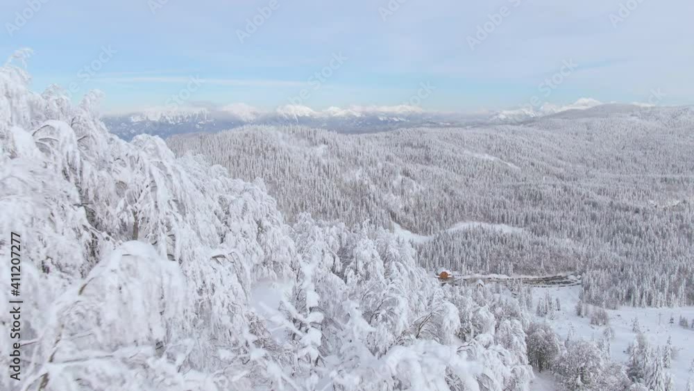 AERIAL: Flying over a snowy hill reveals the vast forest covered valley and distant Julian Alps on a picturesque winter day. Scenic drone shot of stunning alpine nature of Bohinj covered in fresh snow AERIAL: Flying over a snowy hill reveals the vast forest covered valley and distant Julian Alps on a picturesque winter day. Scenic drone shot of stunning alpine nature of Bohinj covered in fresh snow