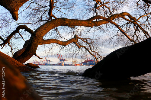 Hamburg Hafen an der Elbe gesehen vom Elbstrand aus durch Bäume