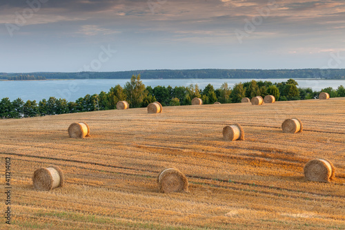 Fototapeta Naklejka Na Ścianę i Meble -  View of the Masurian fields.