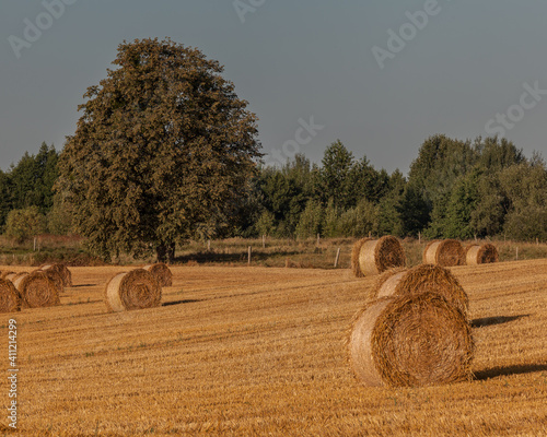 Fototapeta Naklejka Na Ścianę i Meble -  View of the Masurian fields.