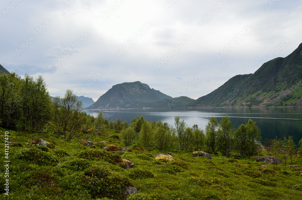 beautiful summer mountains and fjord