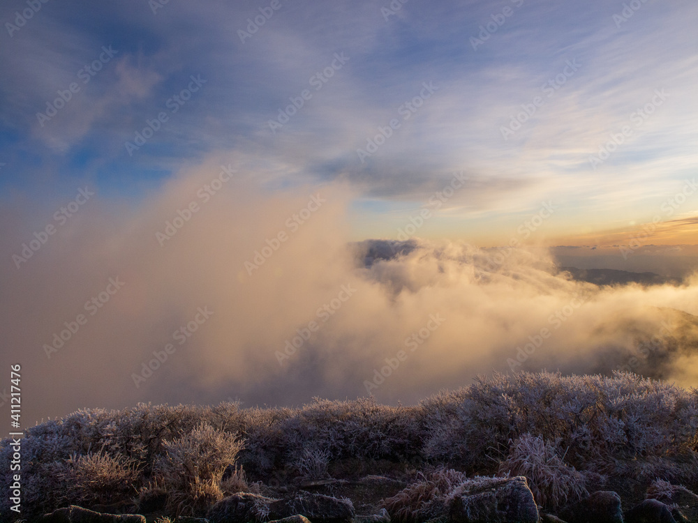 冬の九重連山中岳山頂から幻想的な雲海の中眺める朝焼け