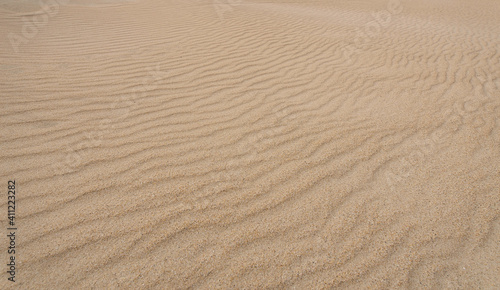 Sand texture pattern of the dunes near Baelo Claudia near Tarifa  Spain