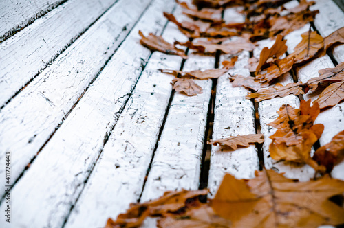 Closeup of bench with scattered autumn leaves