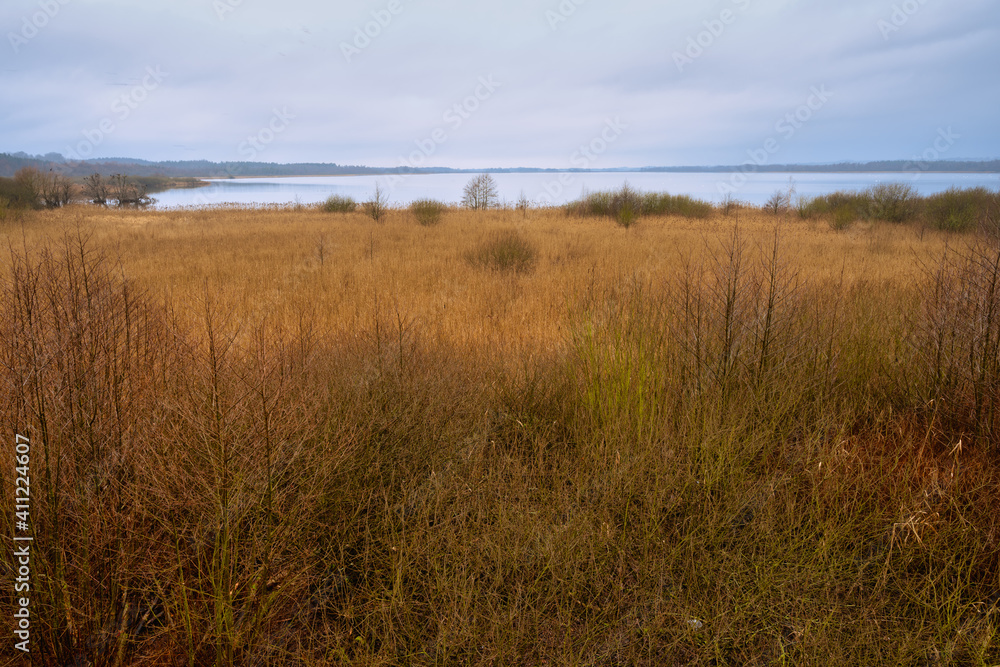 A view of a marsh filled of reeds by a lake. Picture from Lund, southern Sweden