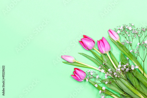 Fototapeta Naklejka Na Ścianę i Meble -  Tulips with tiny white flowers gypsophila paniculata for mother's day. Tulip with copy space isolated on pastel green background