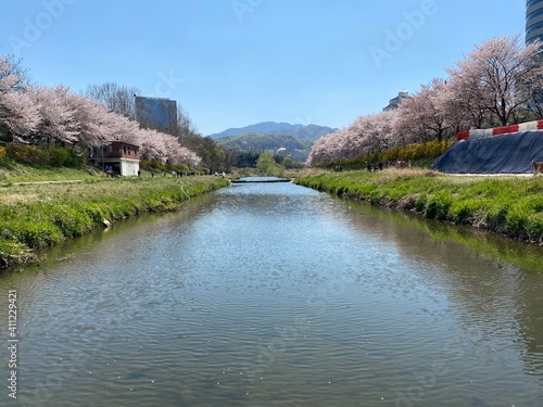landscape with river