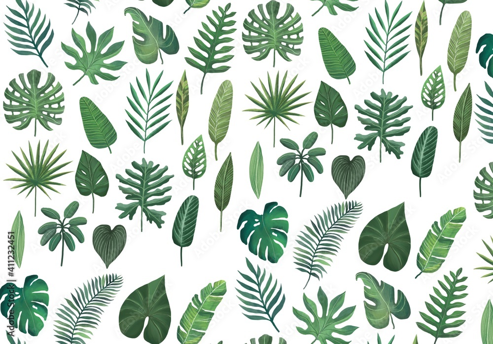plant pattern plant pattern