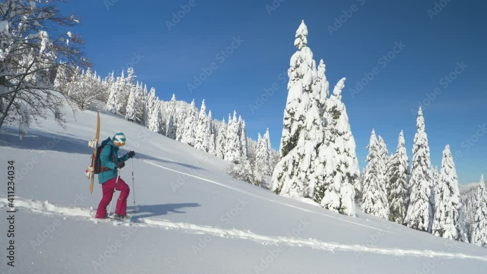 AERIAL COPY SPACE: Young woman on snowboarding trip in the Julian Alps hikes along a snowy hill on sunny day. Female snowboarder wearing snowshoes hikes along a mountain to shred the fresh powder snow AERIAL COPY SPACE: Young woman on snowboarding trip in the Julian Alps hikes along a snowy hill on sunny day. Female snowboarder wearing snowshoes hikes along a mountain to shred the fresh powder snow