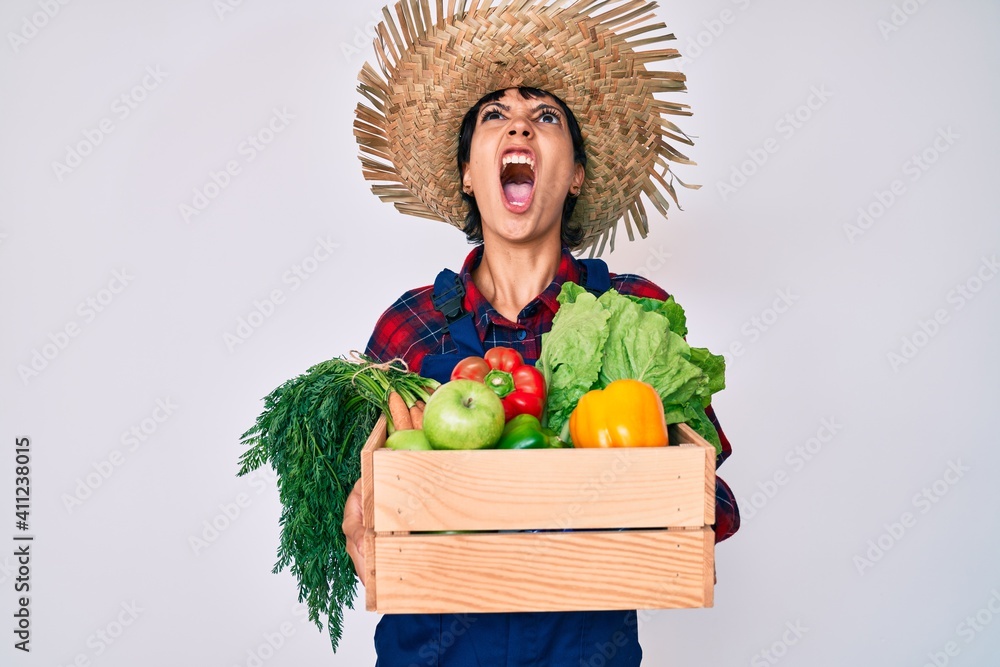 Beautiful brunettte woman wearing farmer clothes holding vegetables angry and mad screaming frustrated and furious, shouting with anger looking up.