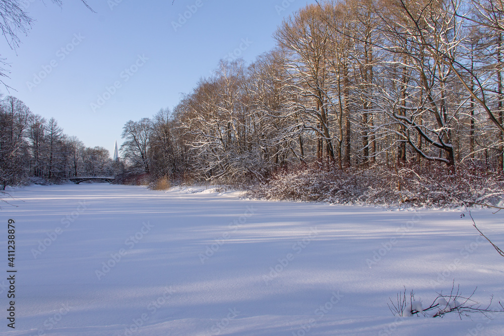 natural winter landscape, forest river with trees on the banks, covered with snow