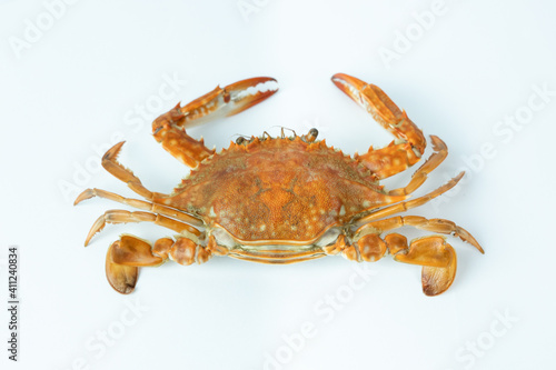 Cooked blue crab On a white background