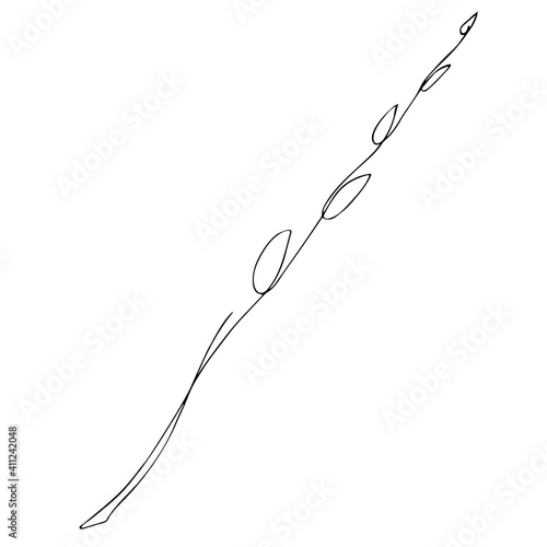 Vector illustration of a pussy willow branch in line art style. Spring drawing