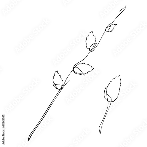 A minimalistic image of a pussy willow branch. Spring drawing with one line. Vector illustration