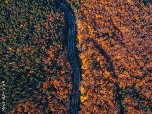 Aerial view above a road, fall color forest, sunny, autumn day - top down, drone shot
