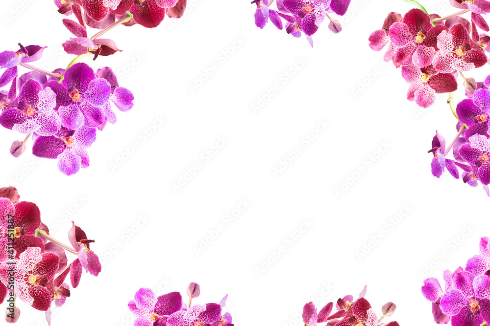 Purple orchid flowers border frame with white copy space