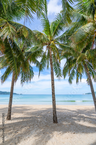 Row of coconut palm trees on beach Exotic tropical beach landscape for background or wallpaper.Tranquil beach scene for travel in Summer holiday with vacation concept and nature background