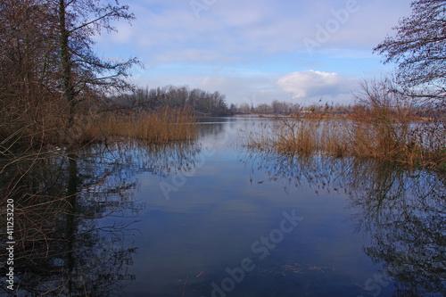 Balade hivernale au milieu des étangs