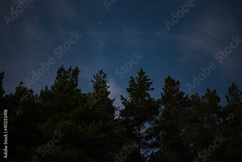 stars among the clouds illuminated by the moonlit sky in the night sky in the pine forest