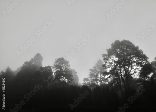 Monochrome image of misty morning in English countryside with copyspace