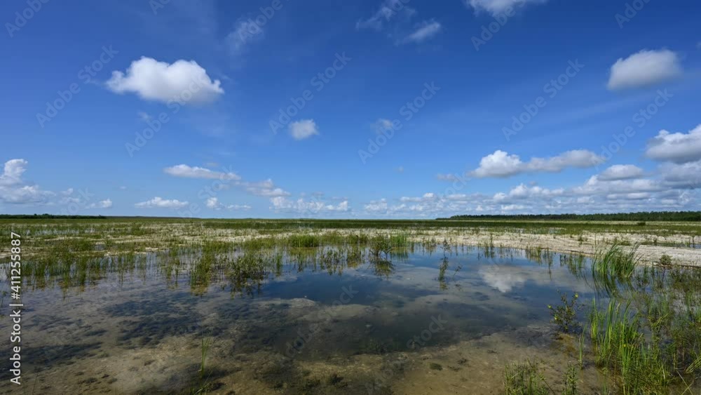 Timelapse of cloud formation over solution holes in Hole-in-the-Donut habitat restoration area in Everglades National Park, Florida 4K. Timelapse of cloud formation over solution holes in Hole-in-the-Donut habitat restoration area in Everglades National Park, Florida 4K.