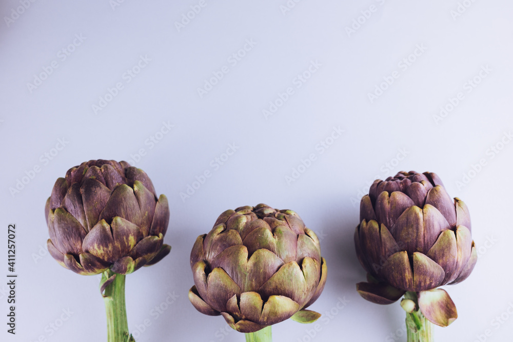 Fototapeta premium Artichoke flower, purple edible bud isolated