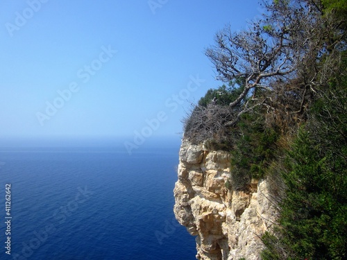 Hanging cliff rock with a pine tree against a blue sea water and blue sky. Beautiful background, marine and holiday concept, perfect for motivation quote. Zakynthos. Greece. Free space for text